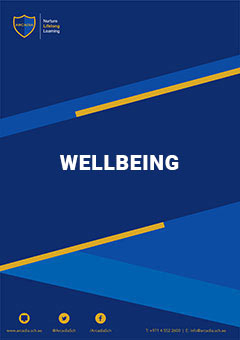 Secondary Primary Safeguarding Support